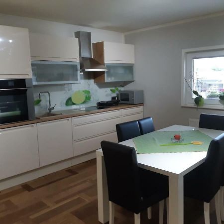 Sanja Apartment Near To Ljubljana Preserje pri Radomljah Exterior foto